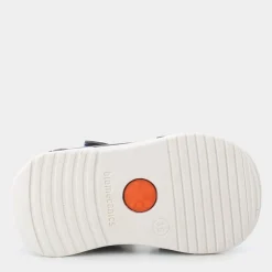 BIOGATEO- PRIMI PASSI OCEANO 252117-A183