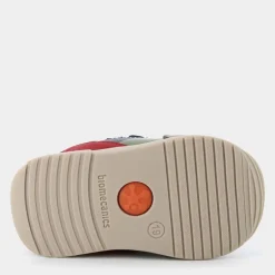 Biogateo- PRIMI PASSI OCEAN 241130