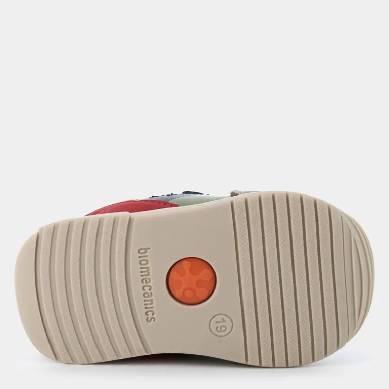 Biogateo- PRIMI PASSI OCEAN 241130