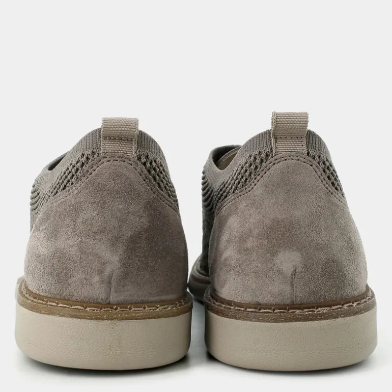 CARTER- STRINGATE PELTRO 7608322