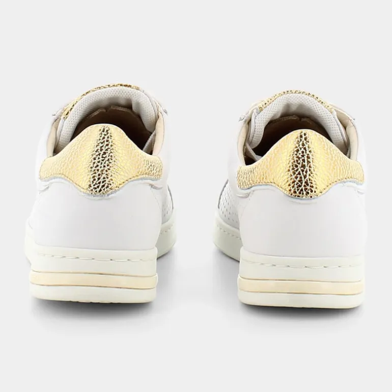 JAYSEN B- SNEAKERS WHITE/GOLD D151BB085CFC0232