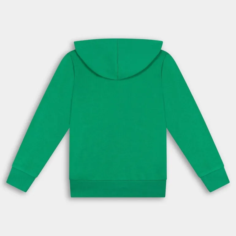 MAGLIE E FELPE VERDE 306984