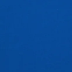 SALIS- T-SHIRT BLU LAPIS NP0A4H8D