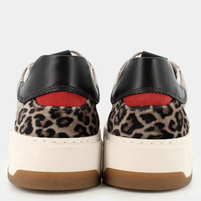 SNEAKERS TORTORA / NERO / ROSSO .
