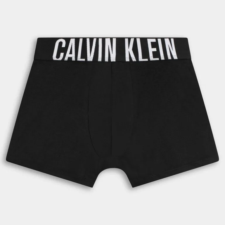 TRUNK 3PK- INTIMO BLACK 000NB3608A