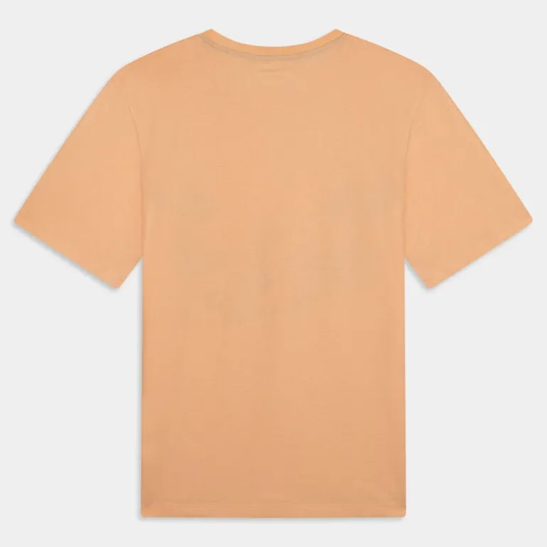 ZION TEE- T-SHIRT APRICOT ICE 12247808