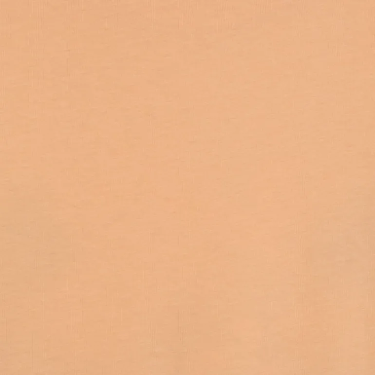 ZION TEE- T-SHIRT APRICOT ICE 12247808