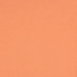 AMERICA- T-SHIRT ARANCIO 114911