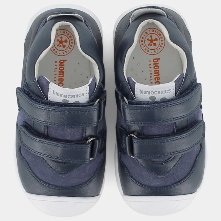 BIOGATEO- PRIMI PASSI BLU 221115