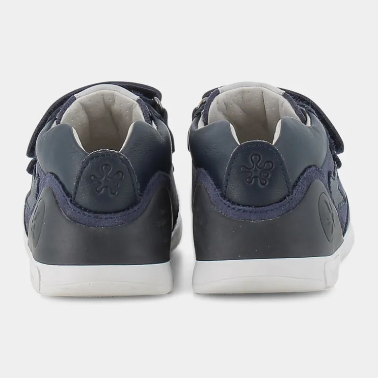 BIOGATEO- PRIMI PASSI BLU 221115