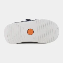 BIOGATEO- PRIMI PASSI BLU 221115