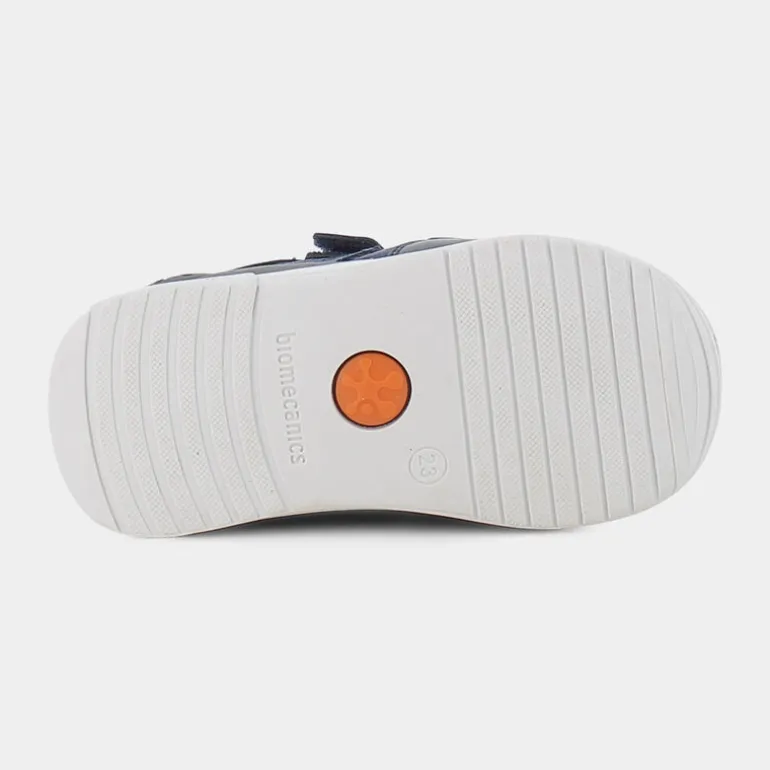 BIOGATEO- PRIMI PASSI BLU 221115