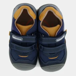 Biogateo- PRIMI PASSI OCEAN 241121