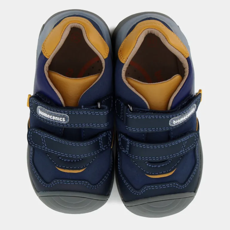 Biogateo- PRIMI PASSI OCEAN 241121