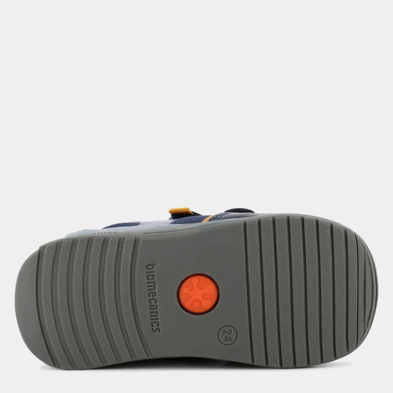 Biogateo- PRIMI PASSI OCEAN 241121