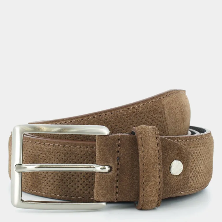 CAMOSCI- CINTURE MARRONE DG-E25-100