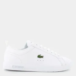 CARNA BASE- SPORTIVE WHT/WHT I02987