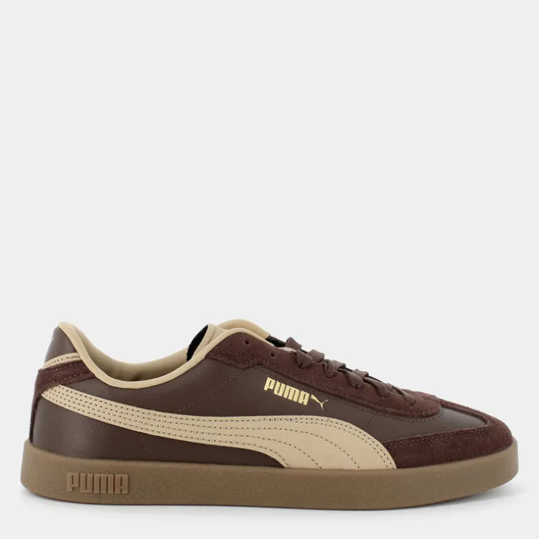 CLUB II ERA- SPORTIVE Espresso Brown-Sand Dune-Gold 397447