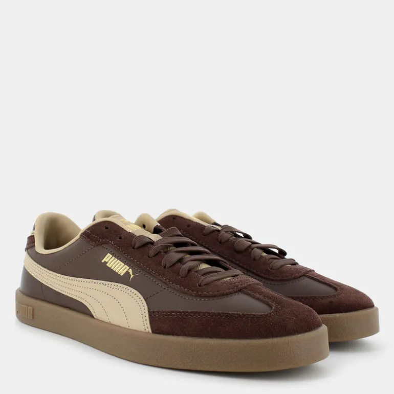 CLUB II ERA- SPORTIVE Espresso Brown-Sand Dune-Gold 397447