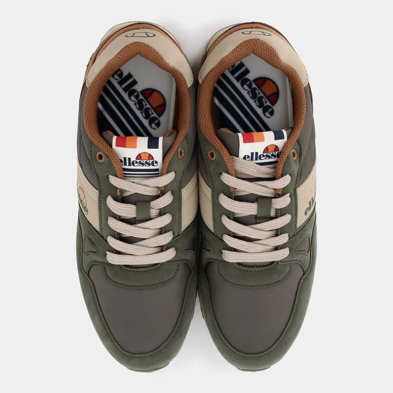 DALEY- SPORTIVE BIRCH MUSK EL42M42435