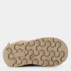 FRUTTA- PRIMI PASSI TORTORA 1072033