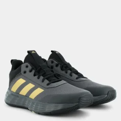 OWNTHEGAME 2.0- SPORTIVE grey five/matte gold/core black GW5483
