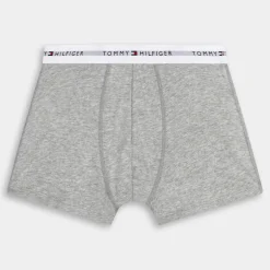 3P TRUNK- INTIMO GRIGIO UM0UM02761