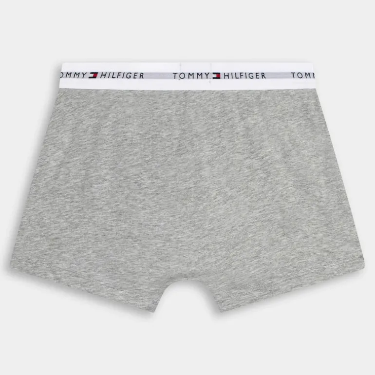 3P TRUNK- INTIMO GRIGIO UM0UM02761