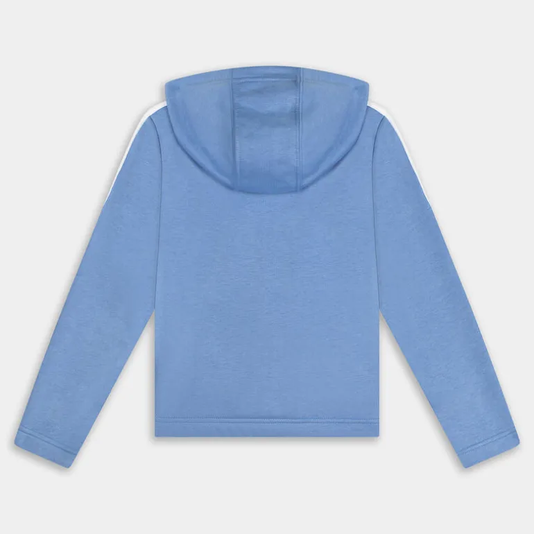 3S FZ HD- MAGLIE E FELPE BLU IC3636