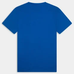 SALIS- T-SHIRT BLU LAPIS NP0A4H8D