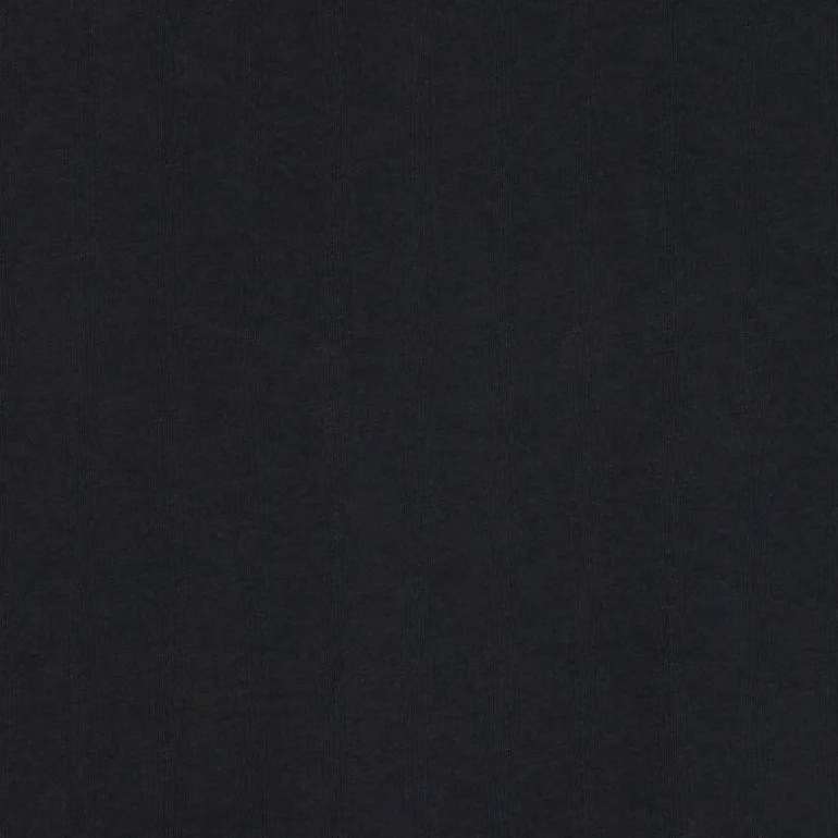 SALIS- T-SHIRT NERO NP0A4H8D