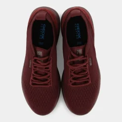 SPHERICA- SNEAKERS WINE D15NUA 0006K C7011