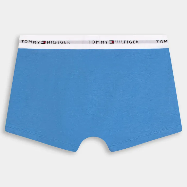 TRUNK 3PK- INTIMO VALLEY YELLOW, BLUE SPELL, DES SKY UM0UM02761